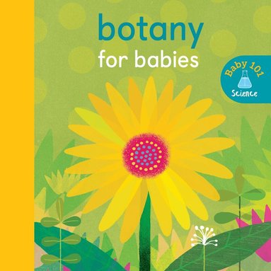 Jonathan Litton - Botany for Babies, Kartonnage