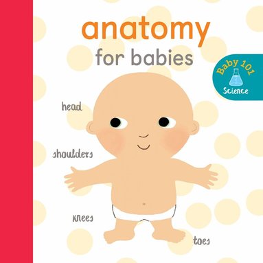 Jonathan Litton - Anatomy for Babies, Kartonnage