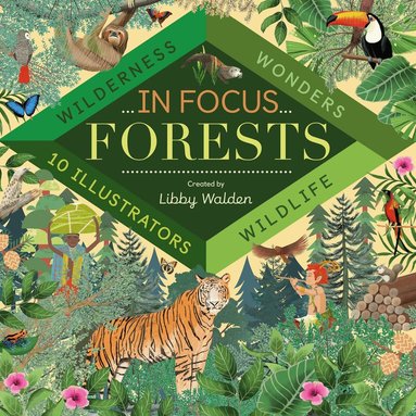Libby Walden - In Focus: Forests, Inbunden