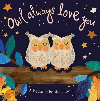 bokomslag Owl Always Love You