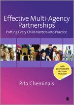 bokomslag Effective Multi-Agency Partnerships