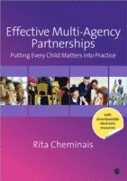 Effective Multi-Agency Partnerships 1