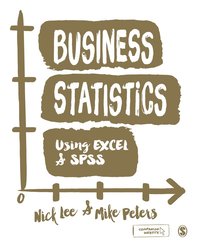 bokomslag Business Statistics Using EXCEL and SPSS