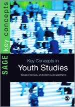 bokomslag Key Concepts in Youth Studies