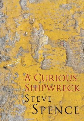 bokomslag Curious Shipwreck