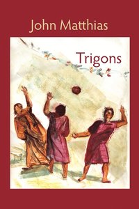 bokomslag Trigons