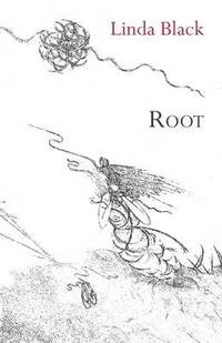 bokomslag Root