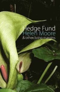 bokomslag Hedge Fund