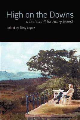 bokomslag High on the Downs  -  A Festschrift for Harry Guest