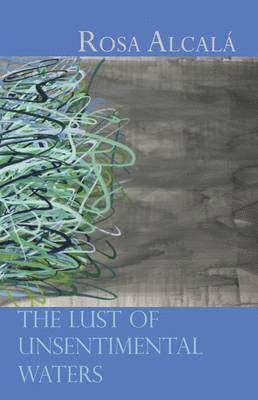 bokomslag Lust of Unsentimental Waters