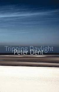 bokomslag Tripping Daylight