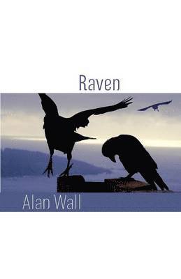 Alan Wall - Raven, Häftad