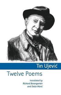 bokomslag Twelve Poems