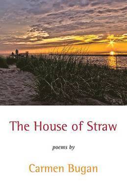 The House of Straw 1