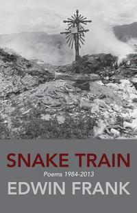 bokomslag Snake Train