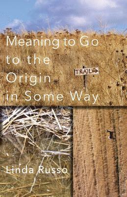 Linda Russo - Meaning to Go to the Origin in Some Way, Häftad