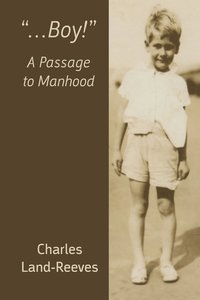 bokomslag &quot;...Boy!&quot; A Passage to Manhood