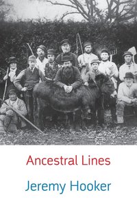 bokomslag Ancestral Lines