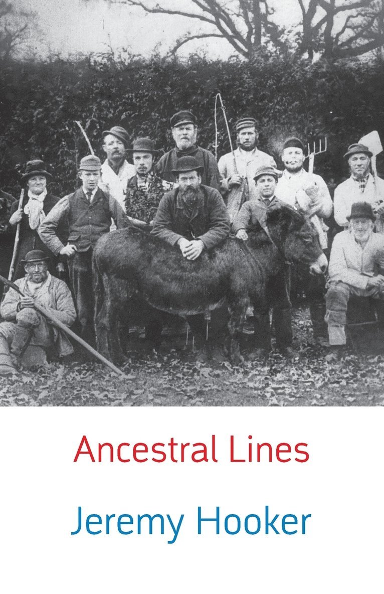 Ancestral Lines 1
