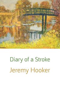 bokomslag Diary of a Stroke