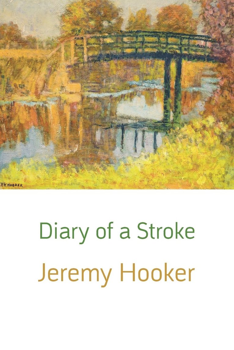 Diary of a Stroke 1