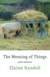 bokomslag Meaning of Things