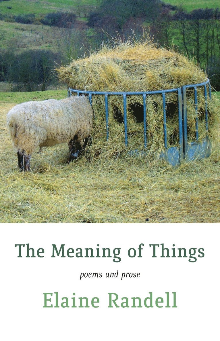 Elaine Randell - Meaning of Things, Häftad