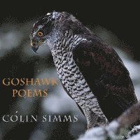 bokomslag Goshawk Poems