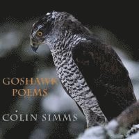 Goshawk Poems 1