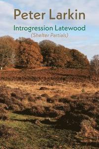 bokomslag Introgression Latewood