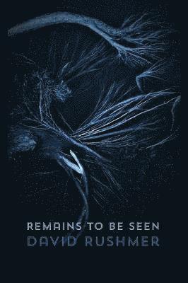 David Rushmer - Remains to Be Seen, Häftad
