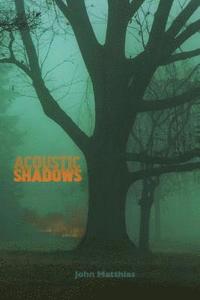 bokomslag Acoustic Shadows