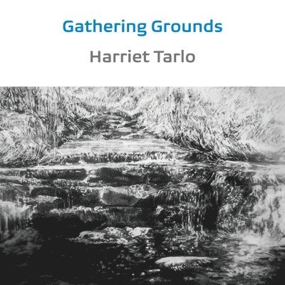 Harriet Tarlo - Gathering Grounds, Häftad