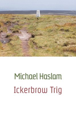 bokomslag Ickerbrow Trig