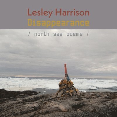 Lesley Harrison - Disappearance, Häftad