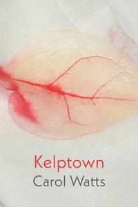 bokomslag Kelptown