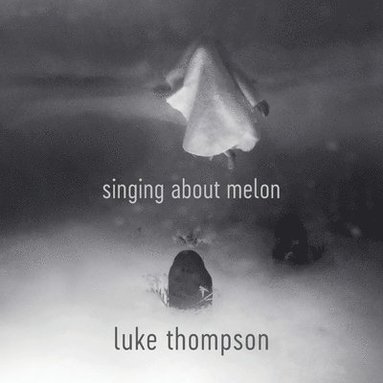 Luke Thompson - Singing About Melon, Häftad