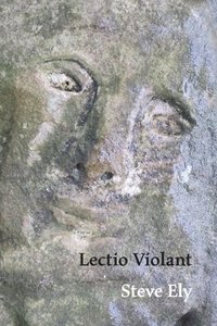 bokomslag Lectio Violant