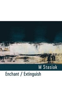 bokomslag Enchant / Extinguish