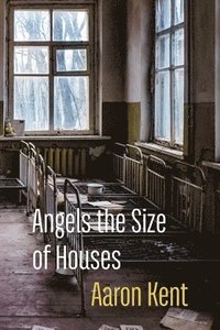 bokomslag Angels the Size of Houses