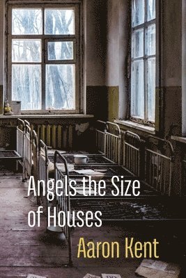 Angels the Size of Houses 1