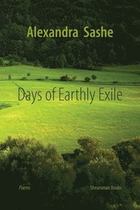 bokomslag Days of Earthly Exile