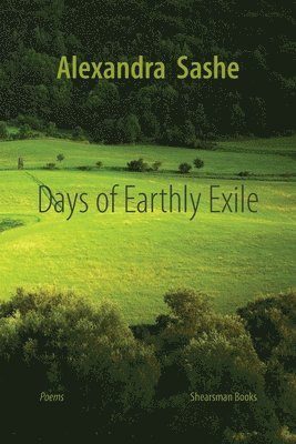 bokomslag Days of Earthly Exile