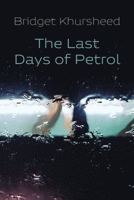 The Last Days of Petrol 1