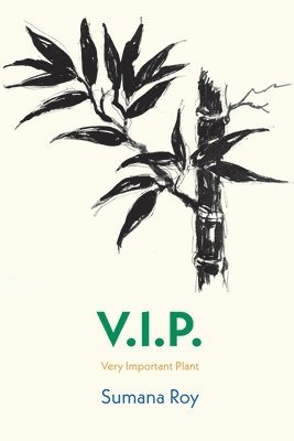 V.I.P. 1