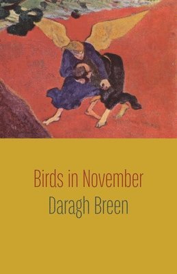 Daragh Breen - Birds in November, Häftad