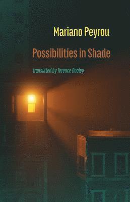 Possibilities in Shade 1