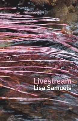 Lisa Samuels - Livestream, Häftad