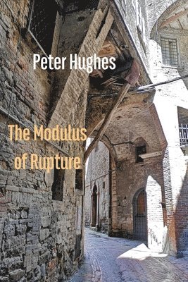 Peter Hughes - Modulus of Rupture, Häftad