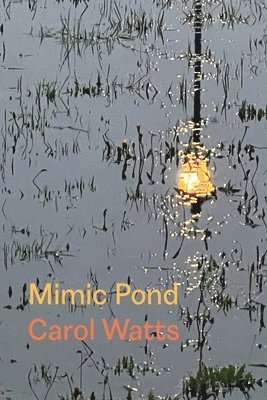 bokomslag Mimic Pond